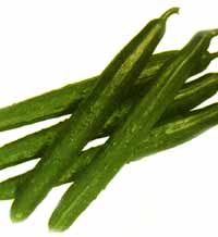 Cucumber
